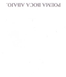 poema boca abajo cortesia nel amaro courtesy from the artist to klauss van damme all rights reserved vegap